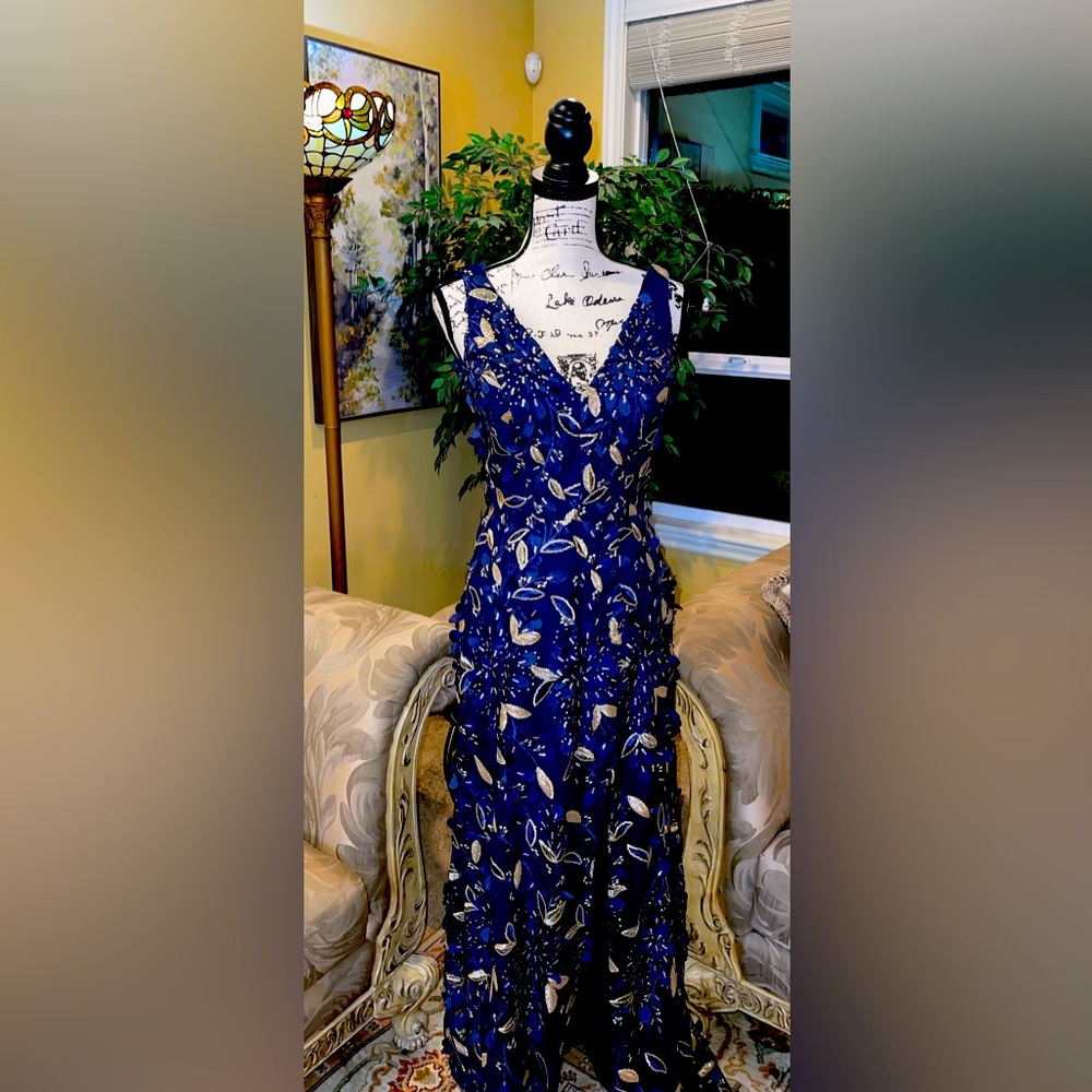 Gorgeous Evening Gown